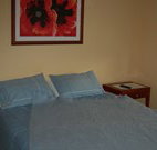 Busy Buzz - Accommodation Resorts