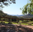 Cedar Grove - - Accommodation Resorts