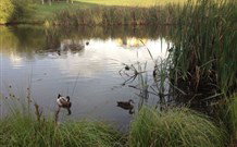 Harewood House Bed And Breakfast - Accommodation Resorts 0