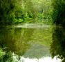 Mangrove Yoga Ashram - - Accommodation Resorts
