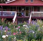 Rose Patch Bed and Breakfast - Accommodation Resorts