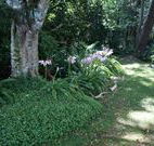 Tallawalla Retreat - Accommodation Resorts