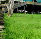 Snowy Valley Resort - Accommodation Resorts