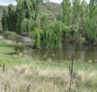 Cedar Grove - Accommodation Resorts