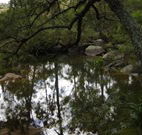 In Essentia Healing Hut of Kangaroo Valley - Accommodation Resorts