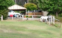 Kookaburra Cottage Pooncarie - Accommodation Resorts 4