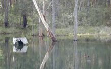 Kookaburra Cottage Pooncarie - Accommodation Resorts 6