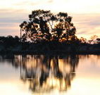 Myuna Bay Sport and Recreation Centre - Accommodation Resorts