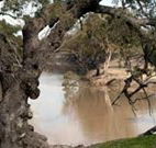 Valley View Cottage Hunter Valley - Accommodation Resorts