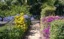 Wilderness Grove Estate - Accommodation Resorts 7