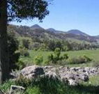 Woolshed Hill Estate - Accommodation Resorts