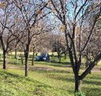 Worrowing Boat Shed - Accommodation Resorts