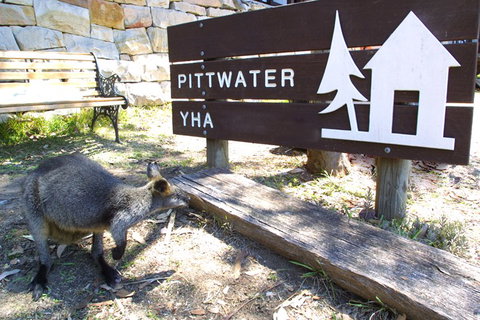 Sydney - Pittwater YHA - Accommodation Resorts 9