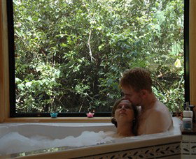 Ravensbourne Forest Chalets - Accommodation Resorts 0