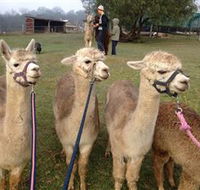 Bunyip Springs Farmstay - Accommodation Resorts
