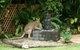 Bluewater Bed And Breakfast Cairns - thumb 3
