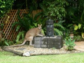 Bluewater Bed And Breakfast Cairns - Accommodation Resorts 3