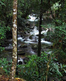 Daintree Secrets Waterfall Sanctuary - Accommodation Resorts 1