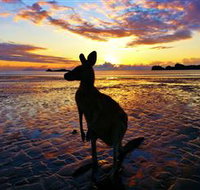 Cape Hillsborough Nature Tourist Park - Accommodation Resorts