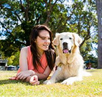 Jacobs Well Tourist Park - Accommodation Resorts