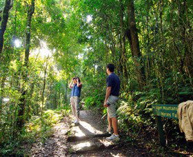 O'Reilly's Rainforest Retreat - Accommodation Resorts 2