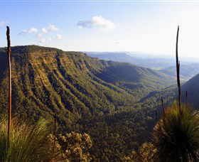 O'Reilly's Rainforest Retreat - Accommodation Resorts 3