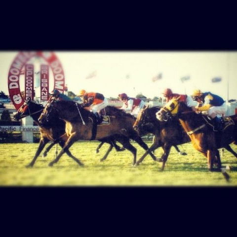 AAA The View - Accommodation Resorts 3