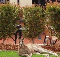 Alpha Canberra Hotel and Apartments - Accommodation Resorts