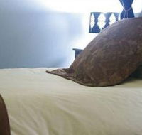 Mount Victoria Manor - Accommodation Resorts