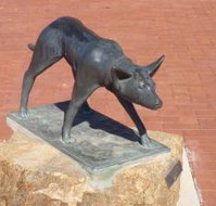 The Ardlethan Kelpie Caravan Park - Accommodation Resorts