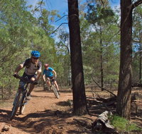 Back Yamma State Forest - Accommodation Resorts