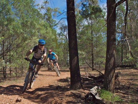 Back Yamma State Forest - Accommodation Resorts 0