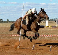 Tullamore Showground - Accommodation Resorts