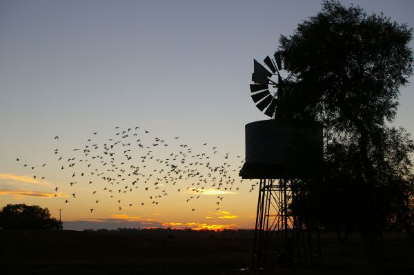 Tooraweenah NSW Accommodation Resorts