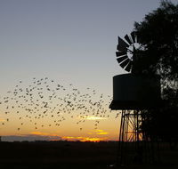 Nevertire Hotel - Accommodation Resorts