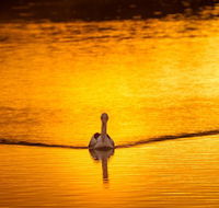 River Shack Rentals - Living the Dream - Accommodation Resorts