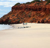 Herald Bight Camp at Francois Peron National Park - Accommodation Resorts