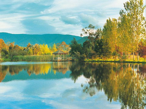 Kingbilli - Accommodation Resorts 0