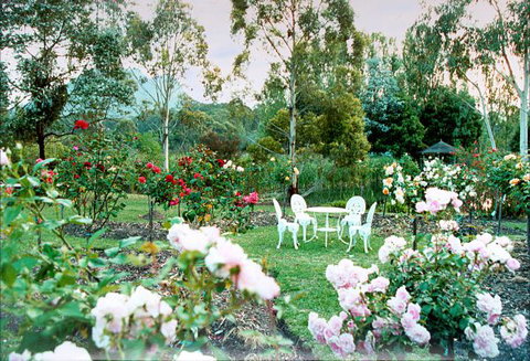 Kingbilli - Accommodation Resorts 2