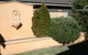 Elderton Guest House - thumb 8