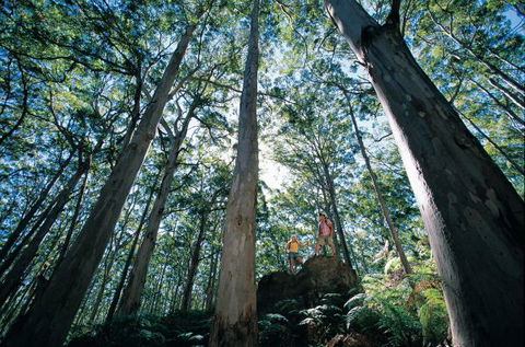 Point Road Camp At Leeuwin-Naturaliste National Park - Accommodation Resorts 1