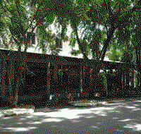 Parrotfish Backpackers - Accommodation Resorts