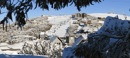 Alpine Ridge Lodge - Accommodation Resorts