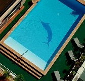 Pacific International Hotel - Accommodation Resorts