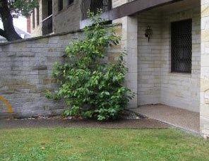 Avon Court Apartments - Accommodation Resorts 2