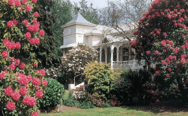 Anabel's of Scottsdale - Accommodation Resorts