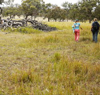 Carnarvon National Park camping - Accommodation Resorts