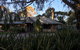 The Paddocks - thumb 1