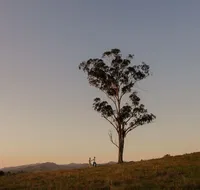 Faulls Ridge Winery - Accommodation Resorts