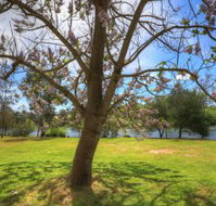 Breakaway Twin Rivers Caravan Park - Accommodation Resorts